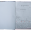 Дневник школьный ROMANTIC, B5, 48 листов, твердая обложка “сендвич” 18274