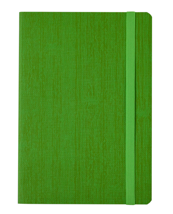 Блокнот деловой COLOR TUNES, А5, 96л., обложка из кожзама, чистые листы, салатовый