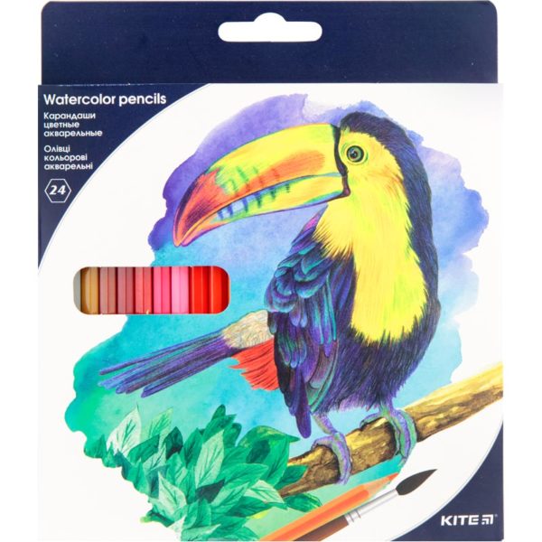 Карандаши цветные акварельные с кистью, “Птицы” 36 цветов, Kite K18-1052