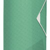 Папка на резинке А4, Esselte Colour’ice, PP на 150 листов, зеленая
