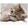 Картина для росписи по номерам «Маленький котенок», 40х50см