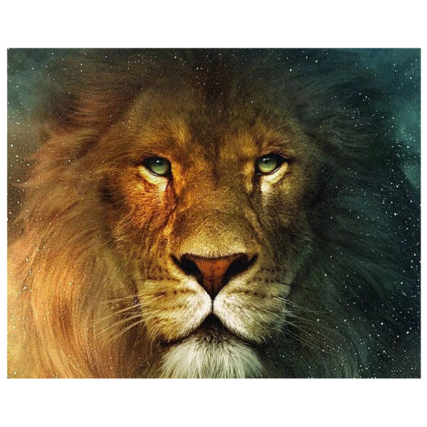 Картина для росписи по номерам «Лев- царь зверей», 40х50см