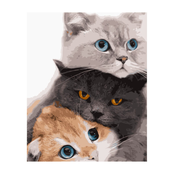 Картина для росписи по номерам «Три котика», 40х50см
