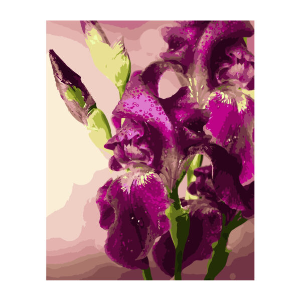 Картина для росписи по номерам «Фиолетовые ирисы», 40х50см
