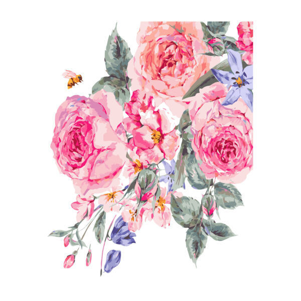 Картина для росписи по номерам «Розовые розы на белом фоне», 40х50см