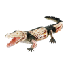 Анатомическая модель Крокодил, 26 деталей